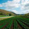 Harmony Valley Farm