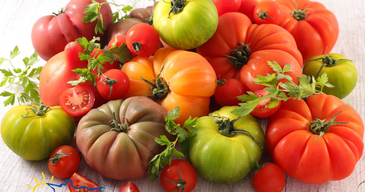 Peak of the Season: Heirloom Tomatoes | Kowalski's Markets