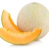 Cantaloupe