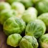 Brussels Sprouts