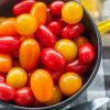 Grape Tomato Medley