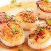 Sea Scallops 