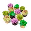 Succulent Cupcakes - 2024