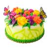 Butterfly Garden Cake