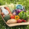 Basket filled with local produce, dairy products, and bread