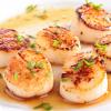 Seared Scallops in Grapeseed Oil