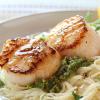 Seared Scallops on Angel Hair Pasta