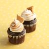 S&#039;mores Cupcakes