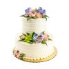 Succulent Tiered Cake